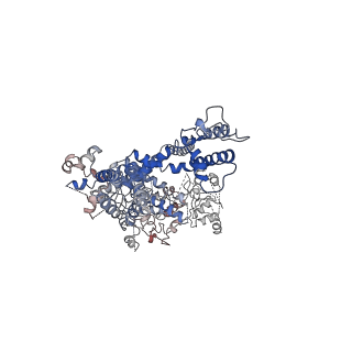 7298_6bwf_C_v1-4
4.1 angstrom Mg2+-unbound structure of mouse TRPM7