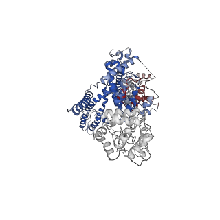 7299_6bwi_A_v1-3
3.7 angstrom cryoEM structure of full length human TRPM4