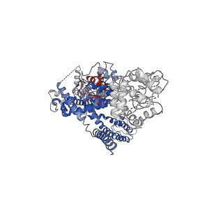 7299_6bwi_B_v1-3
3.7 angstrom cryoEM structure of full length human TRPM4