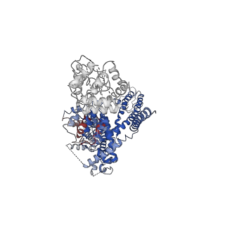 7299_6bwi_C_v1-3
3.7 angstrom cryoEM structure of full length human TRPM4