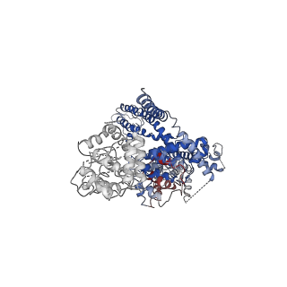 7299_6bwi_D_v1-3
3.7 angstrom cryoEM structure of full length human TRPM4