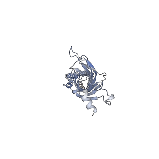 16308_8bx5_B_v1-0
Alvinella pompejana nicotinic acetylcholine receptor Alpo4 in apo state (dataset 1)