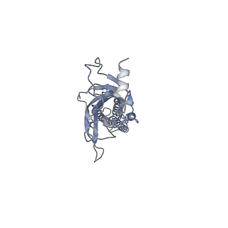 16308_8bx5_D_v1-0
Alvinella pompejana nicotinic acetylcholine receptor Alpo4 in apo state (dataset 1)