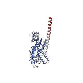 16311_8bx7_A_v1-0
Structure of the rod CNG channel bound to calmodulin