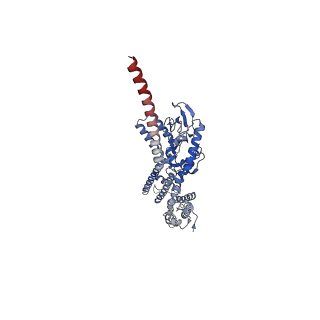 16311_8bx7_B_v1-0
Structure of the rod CNG channel bound to calmodulin