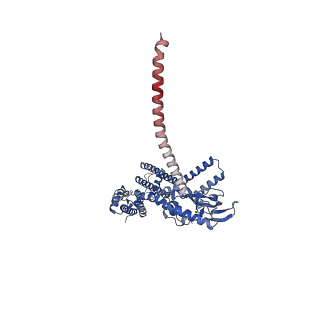 16311_8bx7_C_v1-0
Structure of the rod CNG channel bound to calmodulin