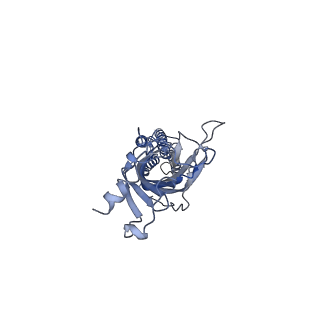 16314_8bxb_A_v1-0
Alvinella pompejana nicotinic acetylcholine receptor Alpo in apo state (dataset 2)