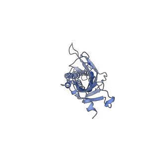 16314_8bxb_B_v1-0
Alvinella pompejana nicotinic acetylcholine receptor Alpo in apo state (dataset 2)