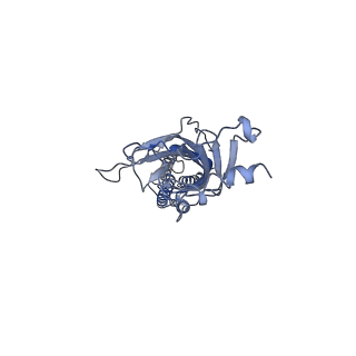 16314_8bxb_C_v1-0
Alvinella pompejana nicotinic acetylcholine receptor Alpo in apo state (dataset 2)