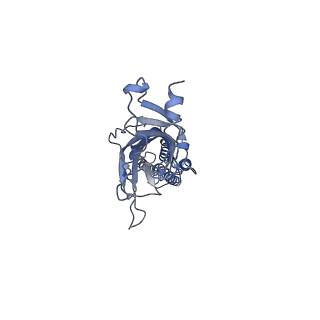 16314_8bxb_D_v1-0
Alvinella pompejana nicotinic acetylcholine receptor Alpo in apo state (dataset 2)