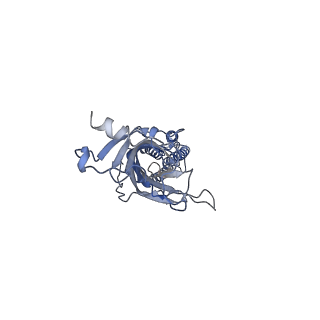 16314_8bxb_E_v1-0
Alvinella pompejana nicotinic acetylcholine receptor Alpo in apo state (dataset 2)