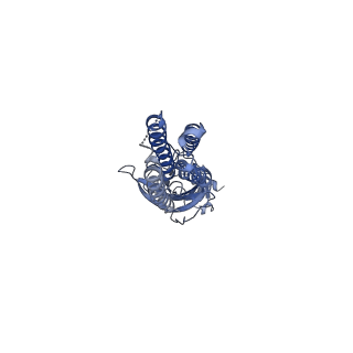 16316_8bxe_D_v1-0
Alvinella pompejana nicotinic acetylcholine receptor Alpo4 in apo state (Alpo4_comb dataset 3)