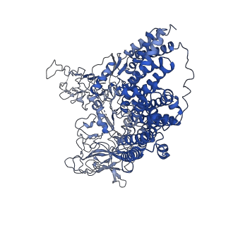 30236_7bx8_A_v1-1
Mycobacterium smegmatis arabinosyltransferase complex EmbB2-AcpM2 in symmetric "resting state"