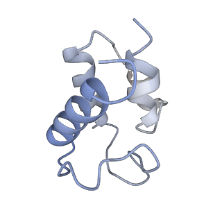 30236_7bx8_C_v1-1
Mycobacterium smegmatis arabinosyltransferase complex EmbB2-AcpM2 in symmetric "resting state"