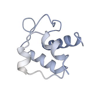 30236_7bx8_D_v1-2
Mycobacterium smegmatis arabinosyltransferase complex EmbB2-AcpM2 in symmetric "resting state"