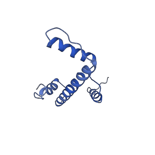 30237_7bxt_A_v1-1
The cryo-EM structure of CENP-A nucleosome in complex with CENP-C peptide and CENP-N N-terminal domain