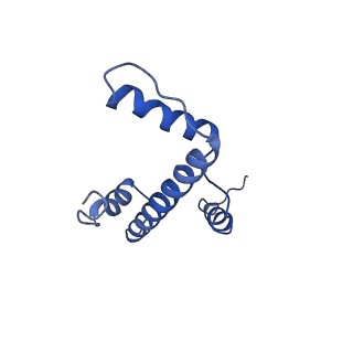 30237_7bxt_A_v1-2
The cryo-EM structure of CENP-A nucleosome in complex with CENP-C peptide and CENP-N N-terminal domain