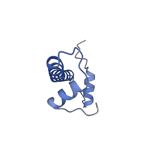 30237_7bxt_B_v1-2
The cryo-EM structure of CENP-A nucleosome in complex with CENP-C peptide and CENP-N N-terminal domain