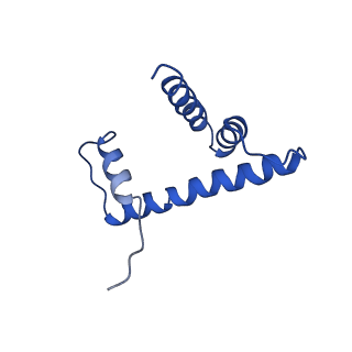 30237_7bxt_D_v1-2
The cryo-EM structure of CENP-A nucleosome in complex with CENP-C peptide and CENP-N N-terminal domain