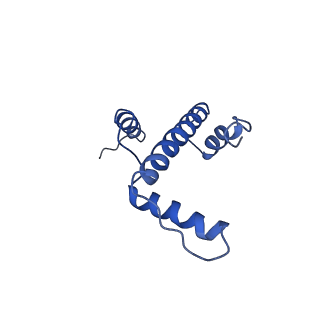 30237_7bxt_E_v1-1
The cryo-EM structure of CENP-A nucleosome in complex with CENP-C peptide and CENP-N N-terminal domain