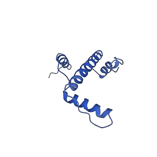 30237_7bxt_E_v1-2
The cryo-EM structure of CENP-A nucleosome in complex with CENP-C peptide and CENP-N N-terminal domain