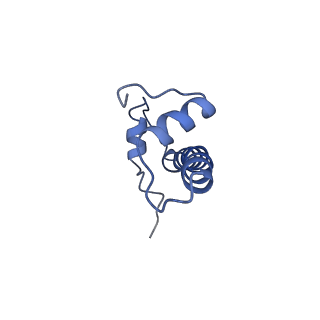 30237_7bxt_F_v1-1
The cryo-EM structure of CENP-A nucleosome in complex with CENP-C peptide and CENP-N N-terminal domain