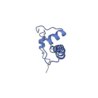 30237_7bxt_F_v1-2
The cryo-EM structure of CENP-A nucleosome in complex with CENP-C peptide and CENP-N N-terminal domain