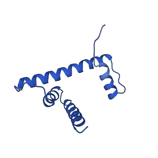 30237_7bxt_H_v1-1
The cryo-EM structure of CENP-A nucleosome in complex with CENP-C peptide and CENP-N N-terminal domain
