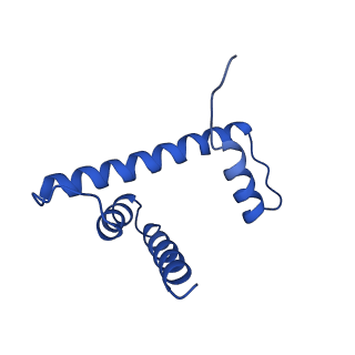 30237_7bxt_H_v1-2
The cryo-EM structure of CENP-A nucleosome in complex with CENP-C peptide and CENP-N N-terminal domain