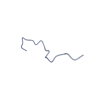 30237_7bxt_K_v1-2
The cryo-EM structure of CENP-A nucleosome in complex with CENP-C peptide and CENP-N N-terminal domain