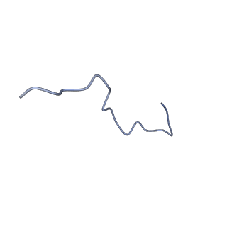 30237_7bxt_L_v1-2
The cryo-EM structure of CENP-A nucleosome in complex with CENP-C peptide and CENP-N N-terminal domain