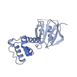 30237_7bxt_M_v1-1
The cryo-EM structure of CENP-A nucleosome in complex with CENP-C peptide and CENP-N N-terminal domain