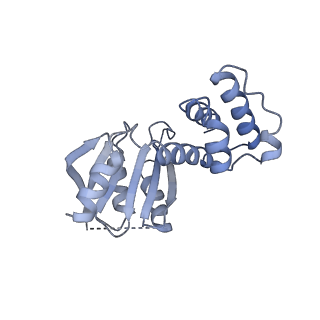 30237_7bxt_N_v1-1
The cryo-EM structure of CENP-A nucleosome in complex with CENP-C peptide and CENP-N N-terminal domain