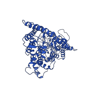 30238_7bxu_A_v1-0
CLC-7/Ostm1 membrane protein complex