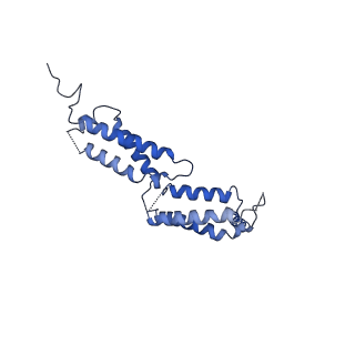 30238_7bxu_C_v1-0
CLC-7/Ostm1 membrane protein complex