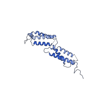 30238_7bxu_D_v1-0
CLC-7/Ostm1 membrane protein complex