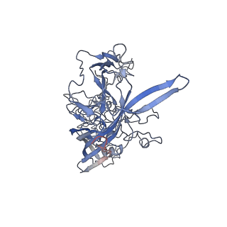7301_6bx0_0_v1-0
Atomic resolution structure of human bufavirus 2