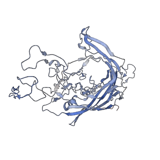 7301_6bx0_1_v1-0
Atomic resolution structure of human bufavirus 2