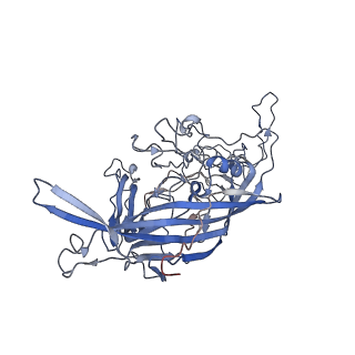 7301_6bx0_2_v1-0
Atomic resolution structure of human bufavirus 2
