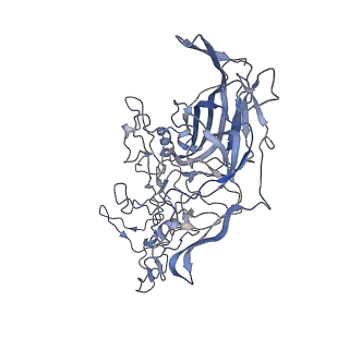 7301_6bx0_3_v1-0
Atomic resolution structure of human bufavirus 2