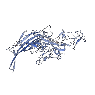 7301_6bx0_4_v1-0
Atomic resolution structure of human bufavirus 2