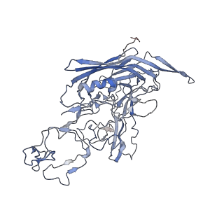 7301_6bx0_5_v1-0
Atomic resolution structure of human bufavirus 2