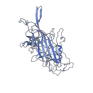 7301_6bx0_6_v1-0
Atomic resolution structure of human bufavirus 2
