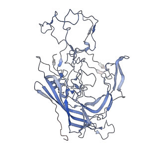 7301_6bx0_7_v1-0
Atomic resolution structure of human bufavirus 2