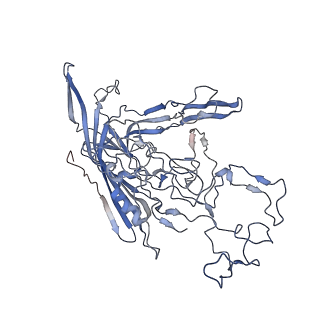 7301_6bx0_A_v1-0
Atomic resolution structure of human bufavirus 2