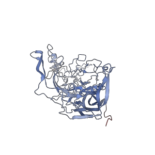7301_6bx0_C_v1-0
Atomic resolution structure of human bufavirus 2
