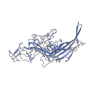 7301_6bx0_D_v1-0
Atomic resolution structure of human bufavirus 2