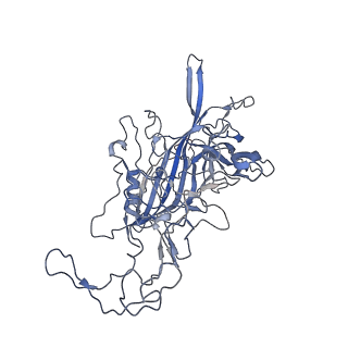 7301_6bx0_E_v1-0
Atomic resolution structure of human bufavirus 2