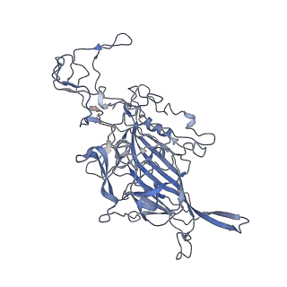 7301_6bx0_F_v1-0
Atomic resolution structure of human bufavirus 2