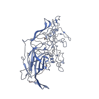 7301_6bx0_G_v1-0
Atomic resolution structure of human bufavirus 2
